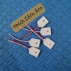 Phích cắm điện âm có dây