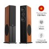 Cặp loa đứng Paramax LX-3800 (Bass 30cm) 