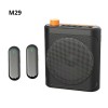 Loa Trợ Giảng Bluetooth M29 (2 Micro) 