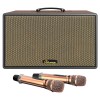 Loa Karaoke Paramax Saga Bass 20cm, Công suất 300W, Bluetooth 5.3